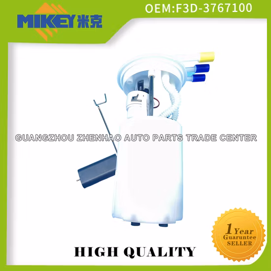 Ensemble de pompe à carburant de pièce de rechange automatique de vente chaude pour l'OEM de système de Byd F3 : F3d-3767100